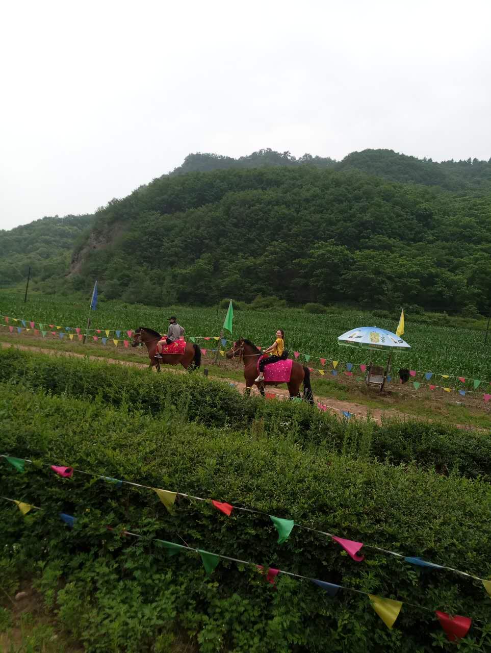 馬.jpg